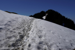 DSC00651
