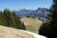 DSC00661