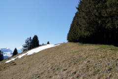 DSC00663