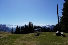 DSC00665