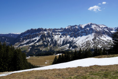 DSC00666