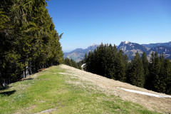 DSC00669