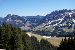 DSC00674