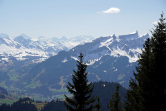 DSC00675