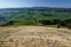 DSC00685