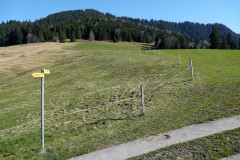 DSC00689