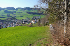 DSC00696