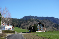 DSC00697