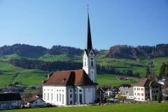 DSC00699