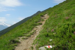 DSCN0951
