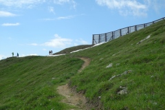 DSCN0953