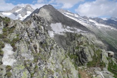 DSCN0965