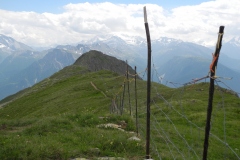 DSCN0981