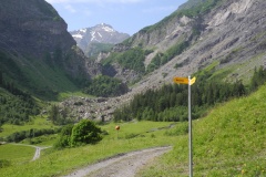 DSCN0832