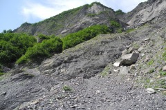 DSCN0839
