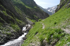 DSCN0850