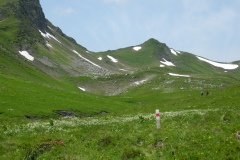 DSCN0859