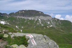 DSCN0863