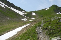 DSCN0866