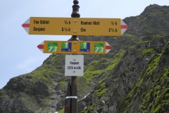DSCN0867