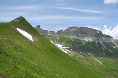 DSCN0875