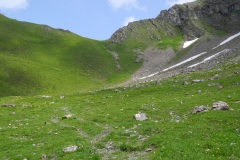 DSCN0877