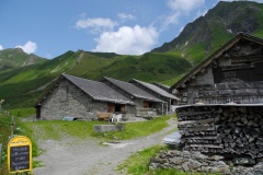 DSCN0881