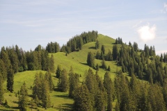 DSCN2196