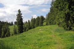 DSCN2198