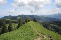 DSCN2203