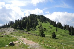DSCN2212