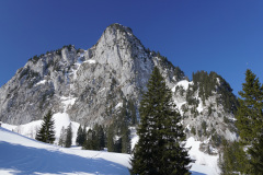 DSC01338