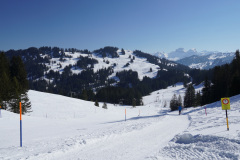 DSC01359