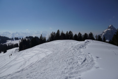 DSC01400