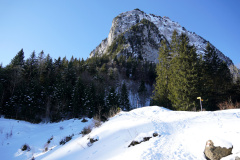 DSC00233