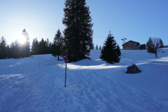 DSC00235