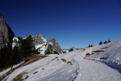 DSC00247