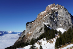DSC00248