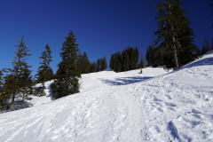 DSC00300