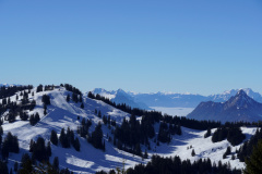 DSC00306