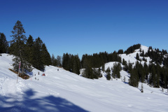 DSC00310