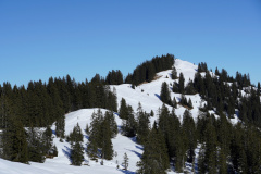 DSC00311
