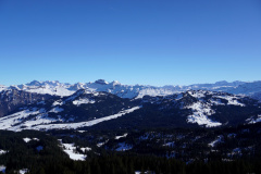 DSC00329
