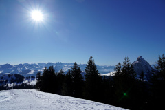DSC00340