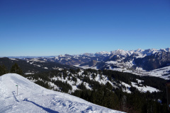DSC00346