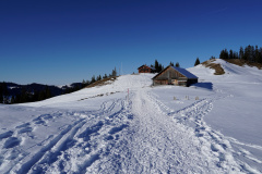 DSC00349