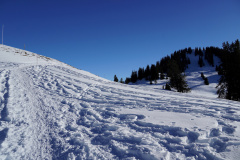 DSC00350