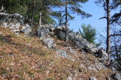 DSCN2310