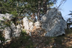DSCN2320