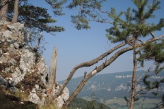 DSCN2321